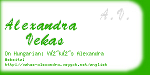 alexandra vekas business card